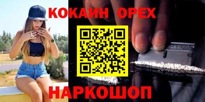 индика Будённовск