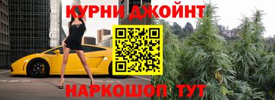 индика Будённовск
