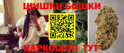 индика Будённовск